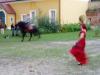 Lilienhof 270805 136